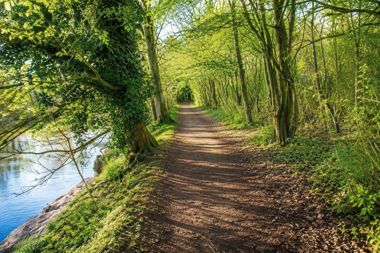 Work to reopen Aylesford to Maidstone River Medway towpath to start ...