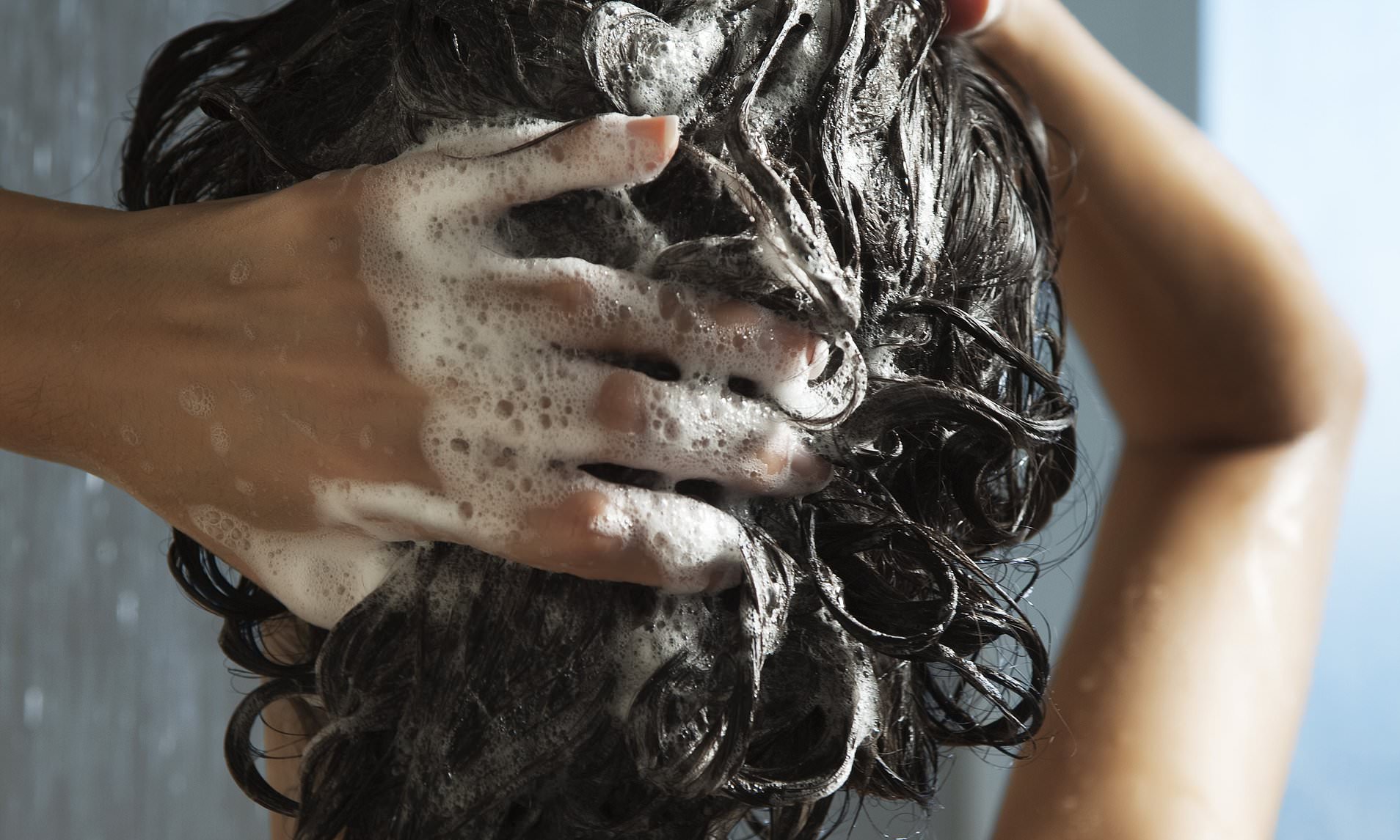 Can an £8.50 shampoo really stop you going bald? Top scientist reveals the products that really work