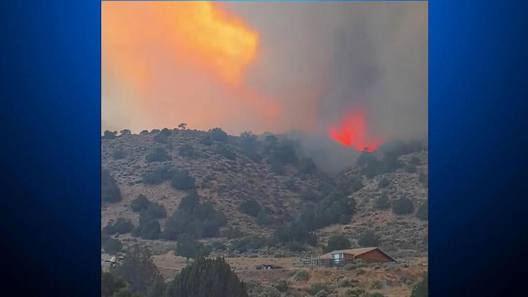 Bug Fire grows along California-Nevada border near Reno; state of ...