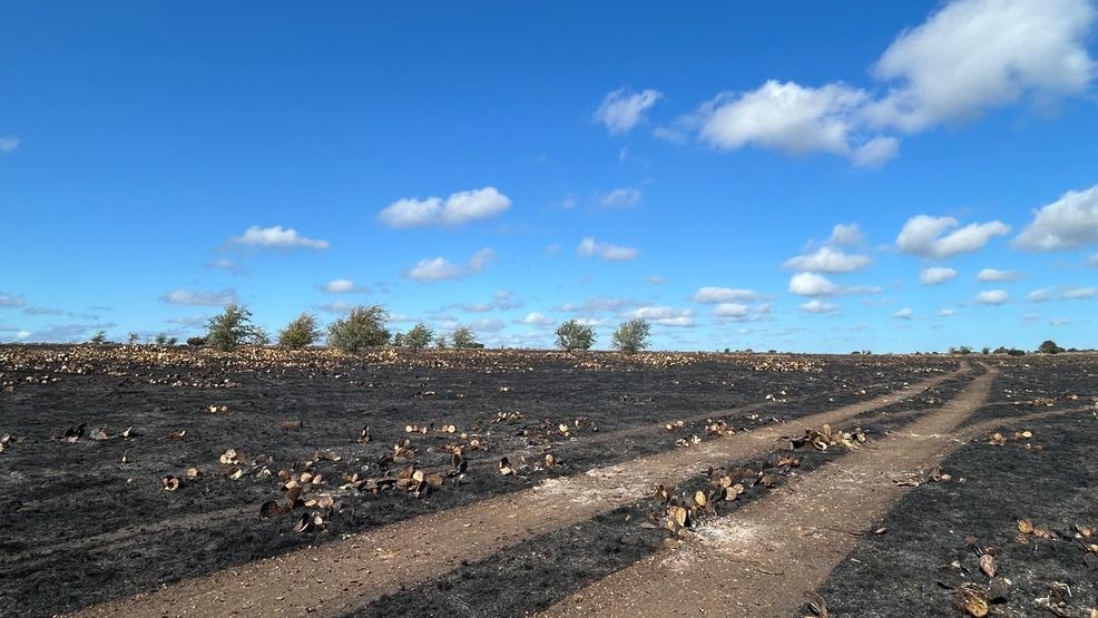 Bertram brush fire burns 300 acres; no homes lost, one barn destroyed