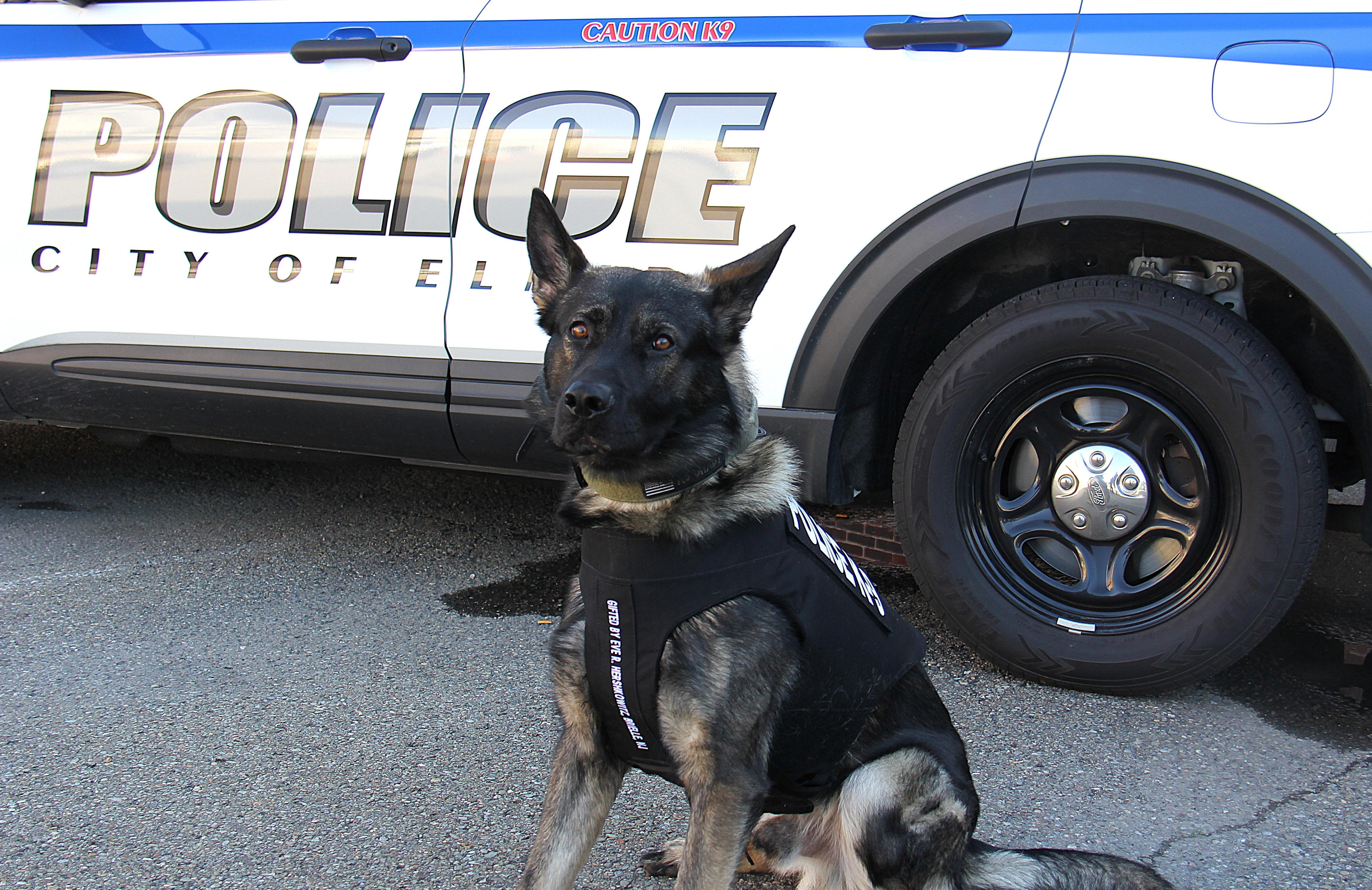 Nonprofit provides Elmira Police Department K-9 with protective vest