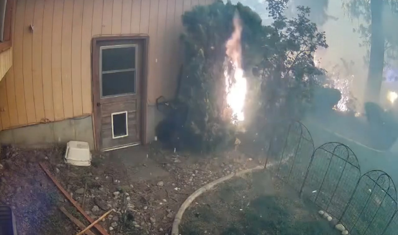 They fled wildfires and watched the flames approach from their phones
