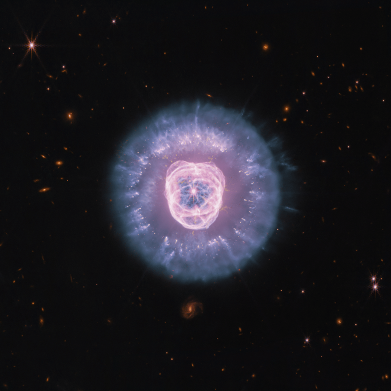 NASA’s Webb telescope uncovers the violent birth zone inside the Lion ...