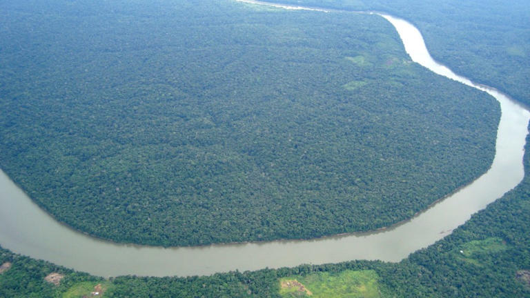 The future is ancestral: Saving Amazon rainforests & ancient wisdom