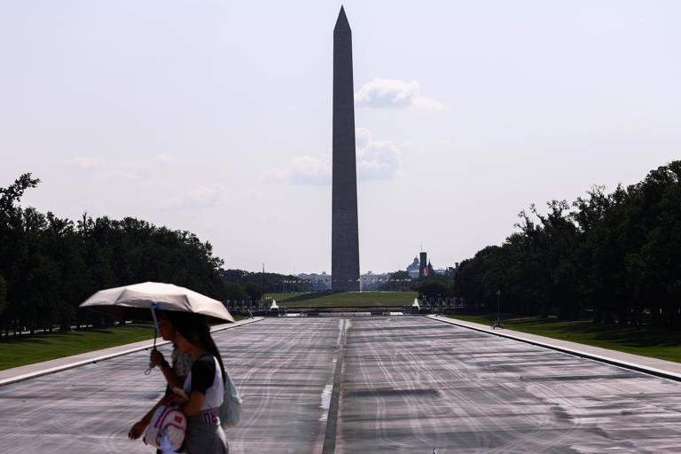 Trump cites contractor error in reflecting pool renovation