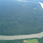The future is ancestral: Saving Amazon rainforests & ancient wisdom