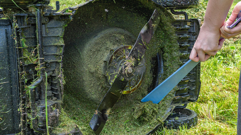 How to choose the right type of lawn mower blade to buy