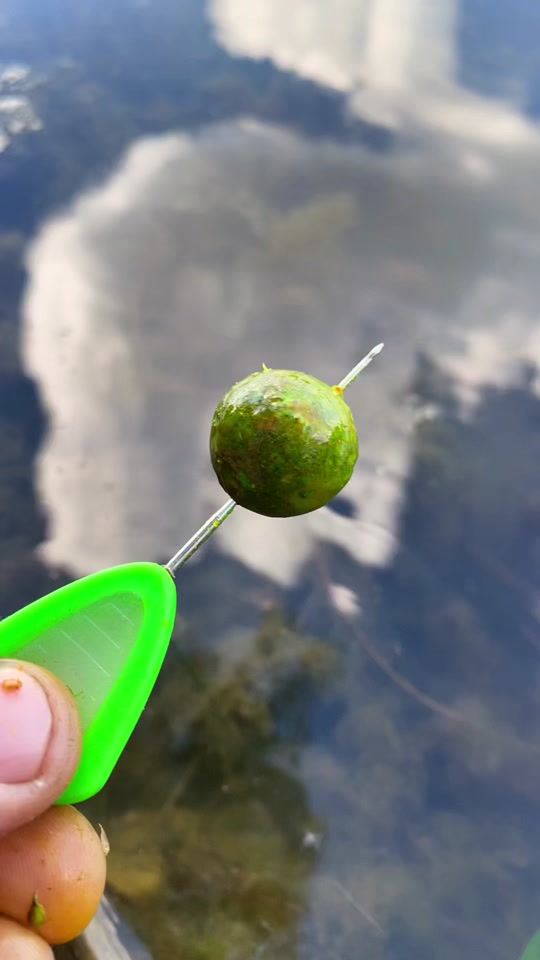 Master carp fishing techniques for bigger results