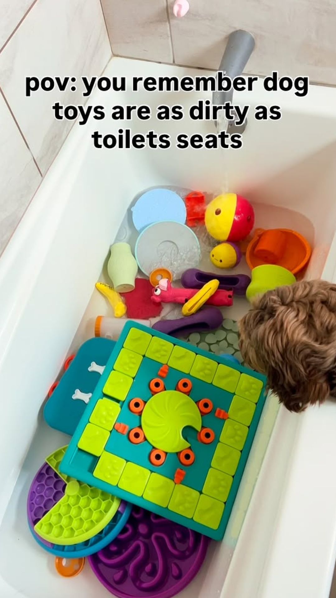 How to keep your dog’s toys clean and fresh