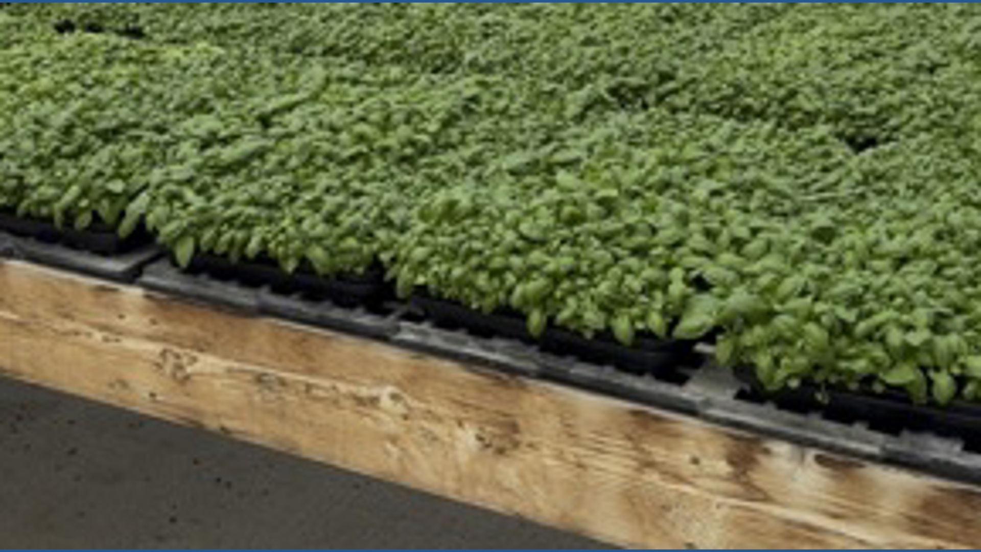 Pocono Organics set to close