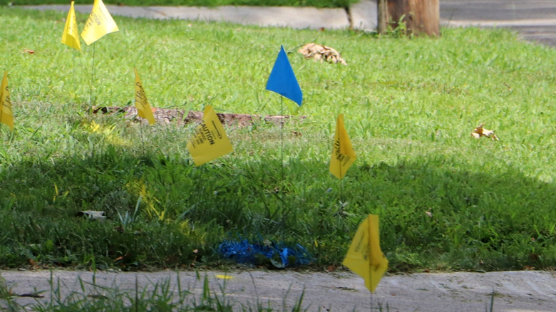 What do blue utility flags mean?