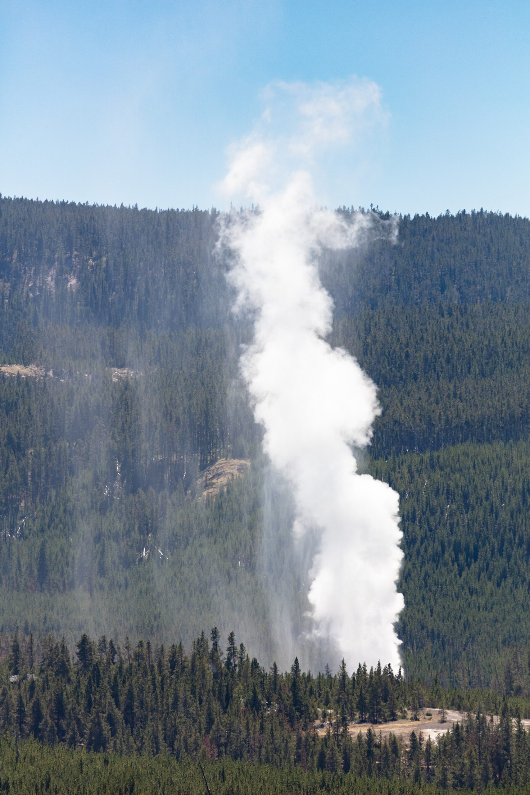 Colin Scott, 23, died in Yellowstone hot spring fall; remains were not ...