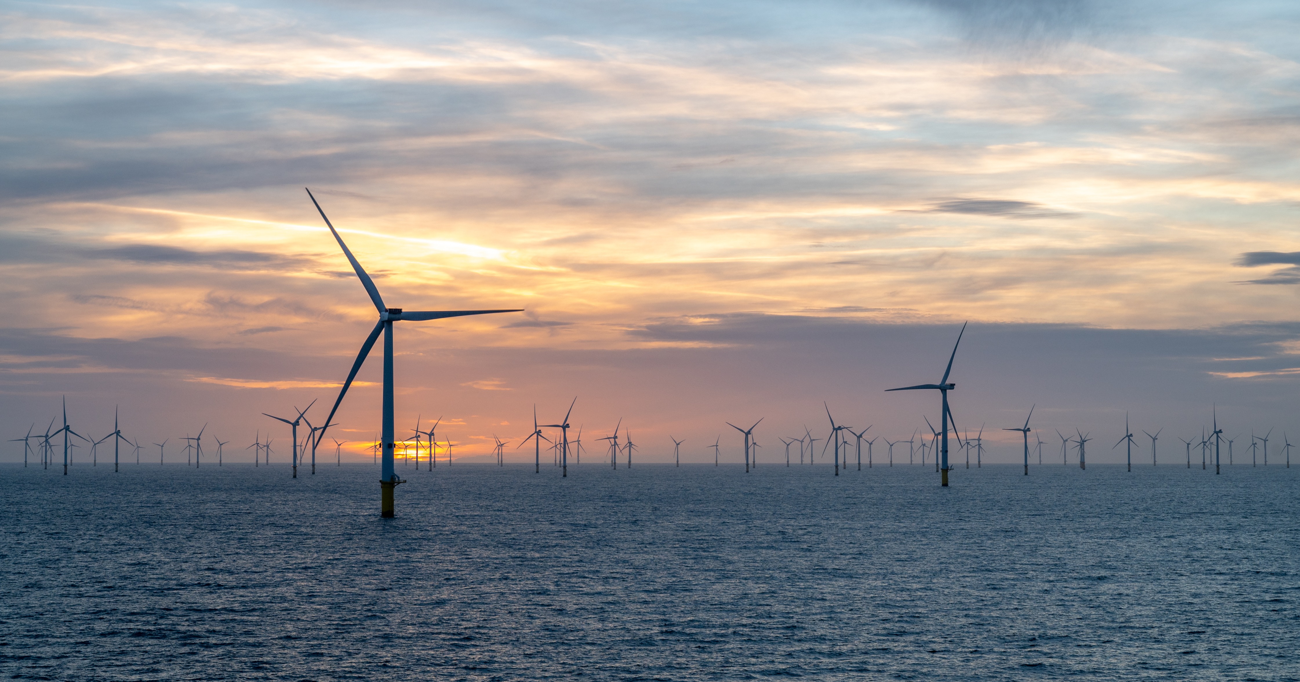Trump administration buys back NY offshore wind leases