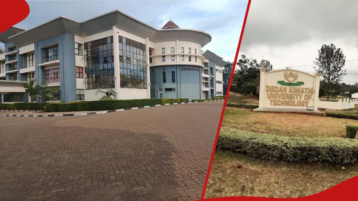 Dedan Kimathi University announces scholarships in engineering ...