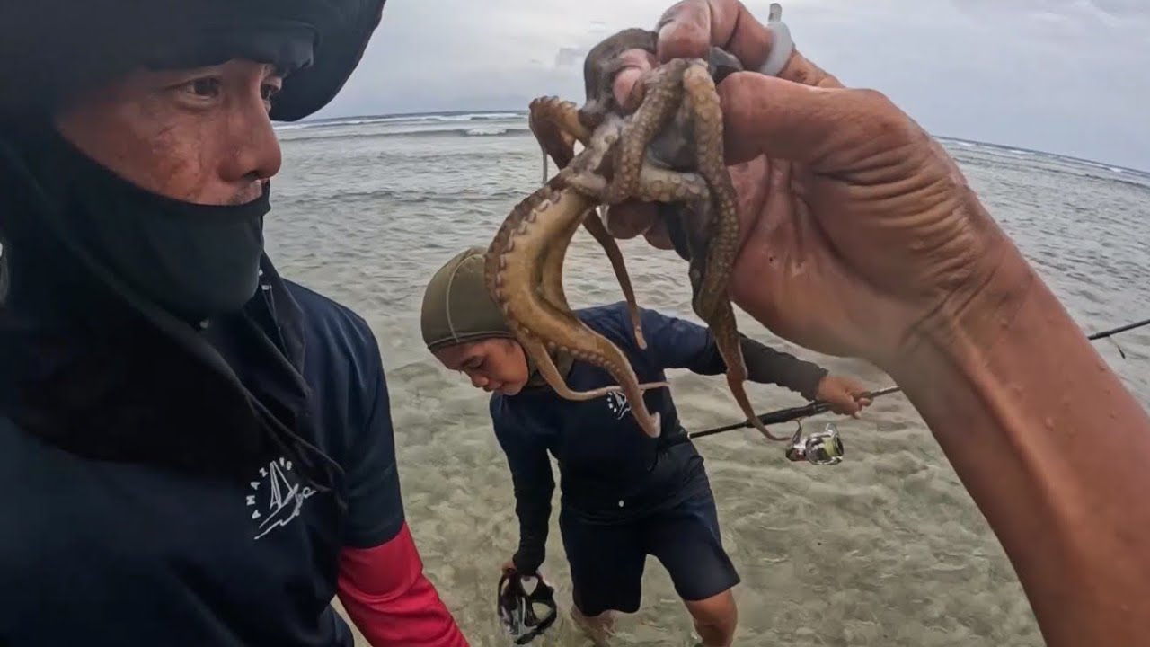 We couldn't believe how many octopuses we found
