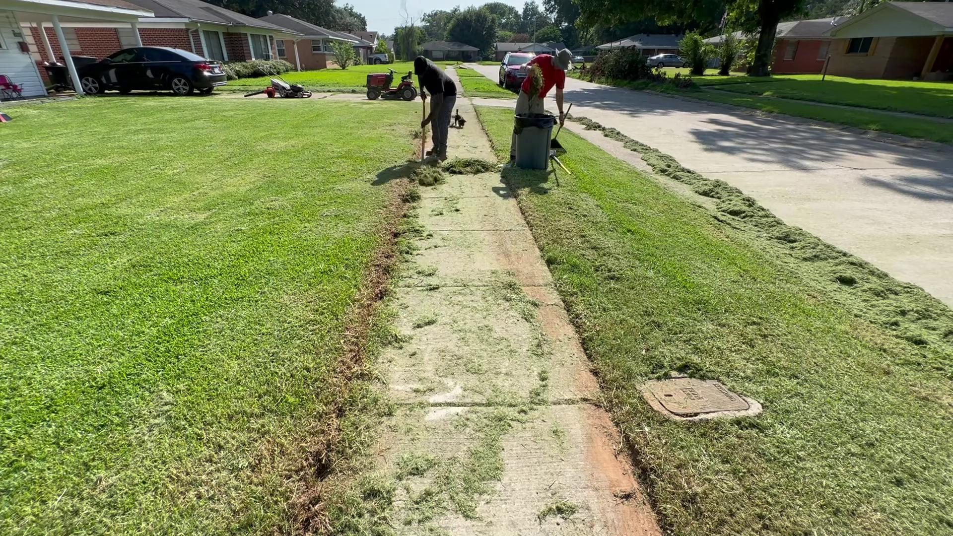 Massive overgrown yard cleanup after a broken mower left it ruined