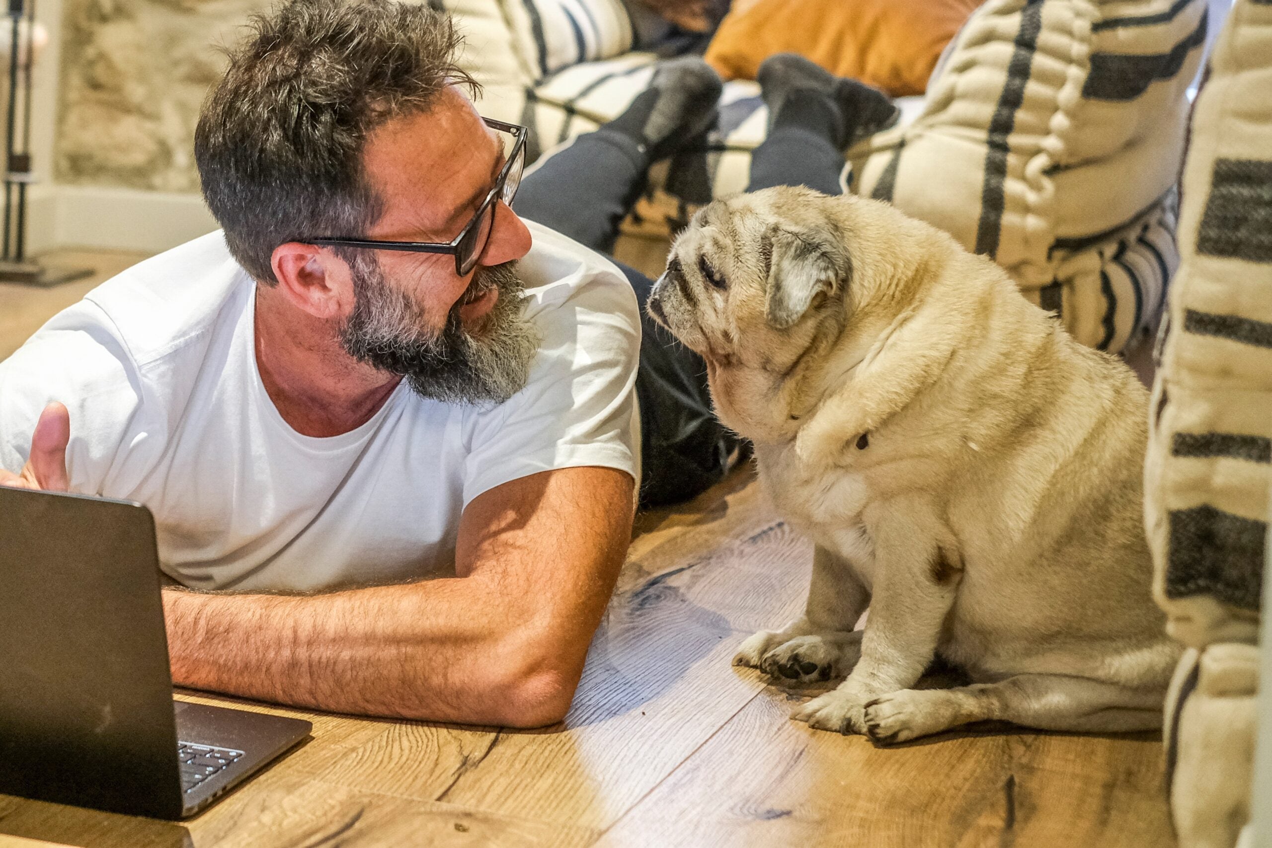 Generations of breeding changed how dogs’ brains process human ...