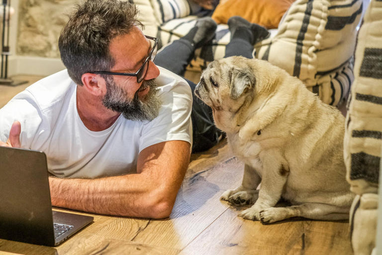 Generations of breeding changed how dogs’ brains process human ...