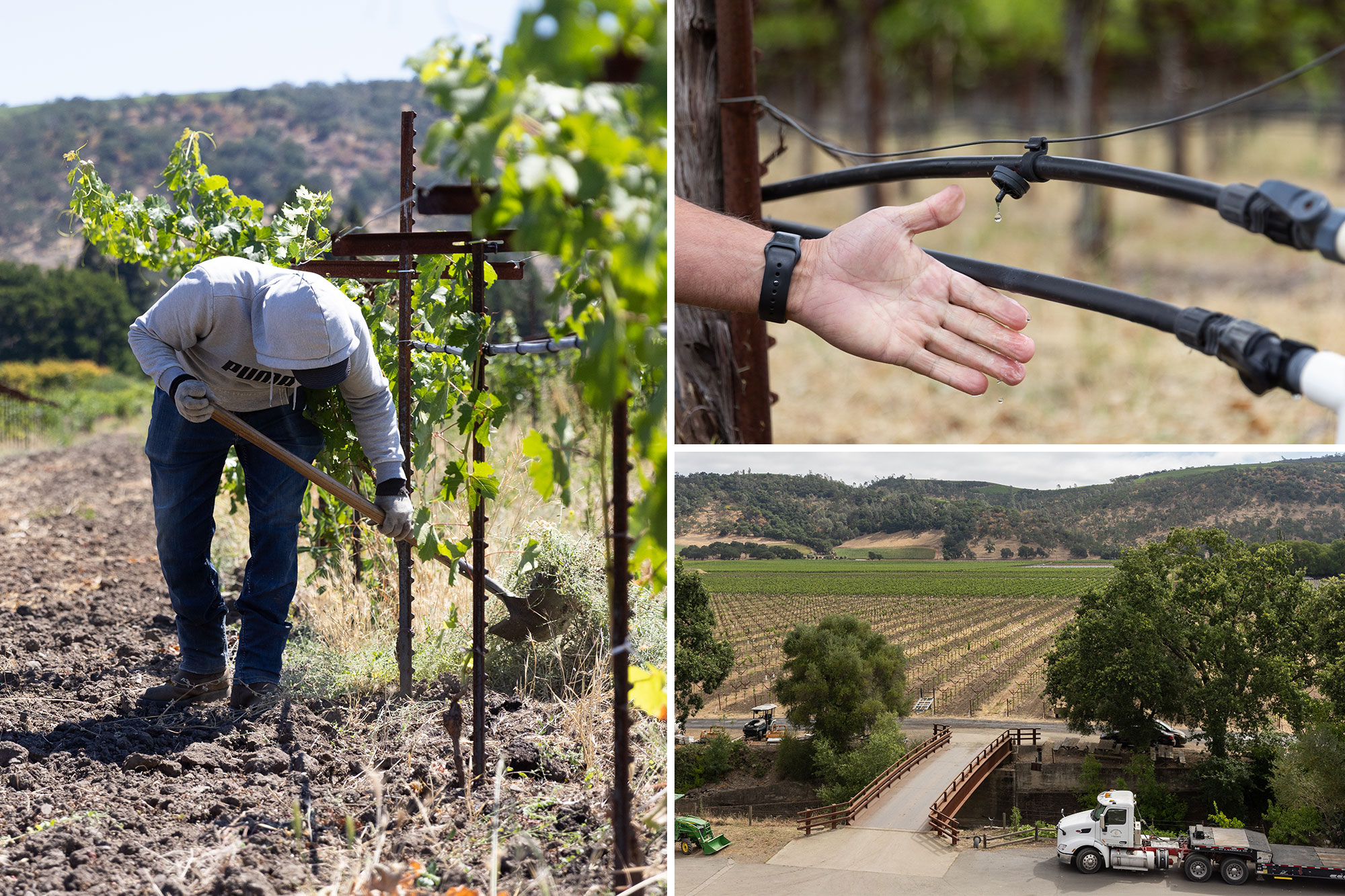 Napa bosses slap water fees on struggling wineries to achieve lefty 'green' goals