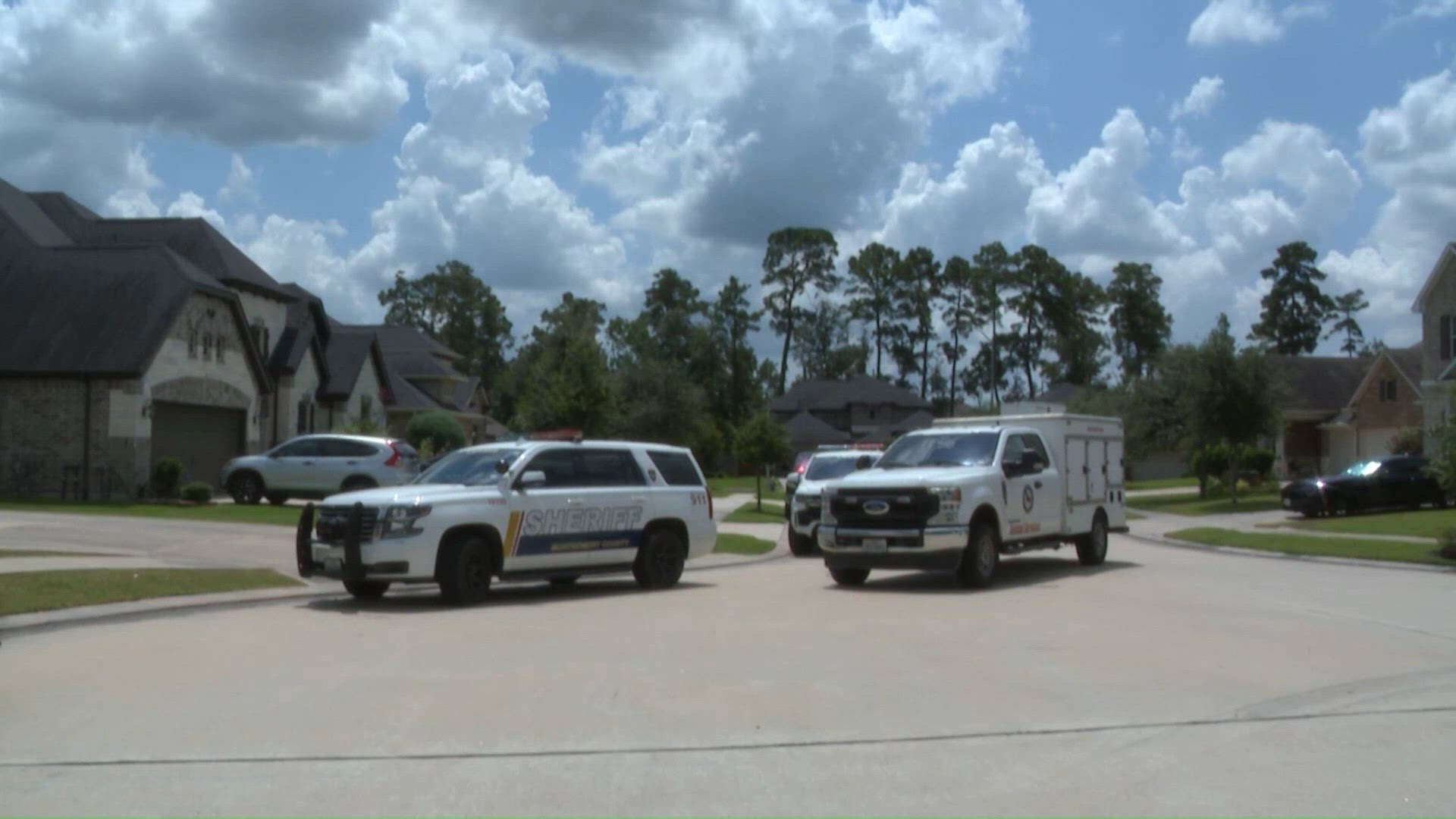 Spring neighbors want answers after dogs enter home, kill family pet