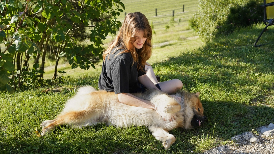 Understanding the human–dog connection