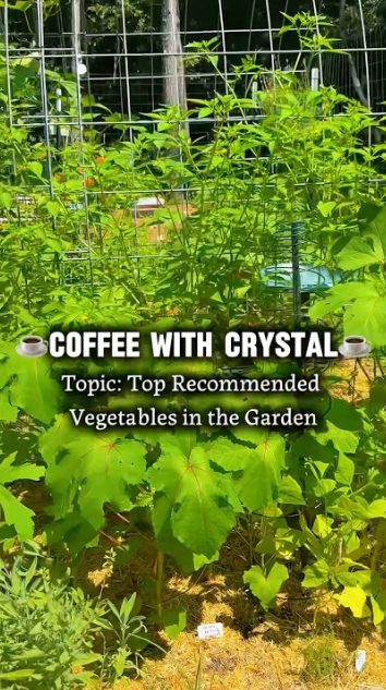 Simple vegetable gardening ideas for new growers