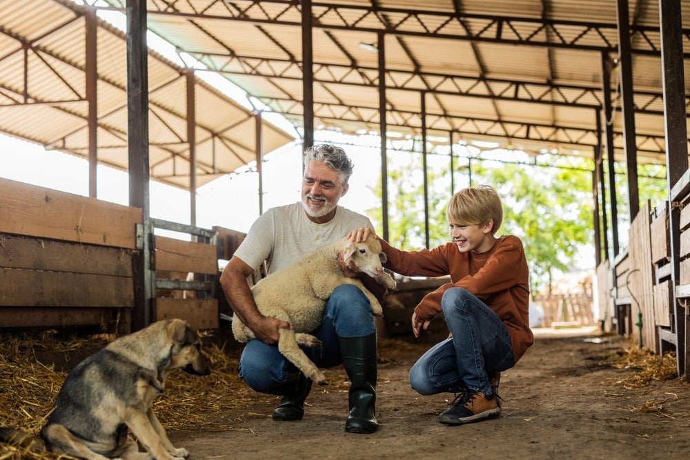 Generations of breeding changed how dogs’ brains process human ...