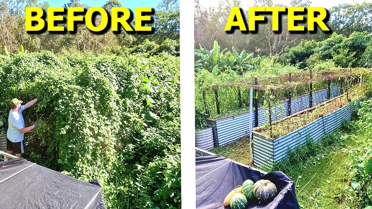 Reviving raised garden beds: Easy DIY fixes & planting for a thriving ...