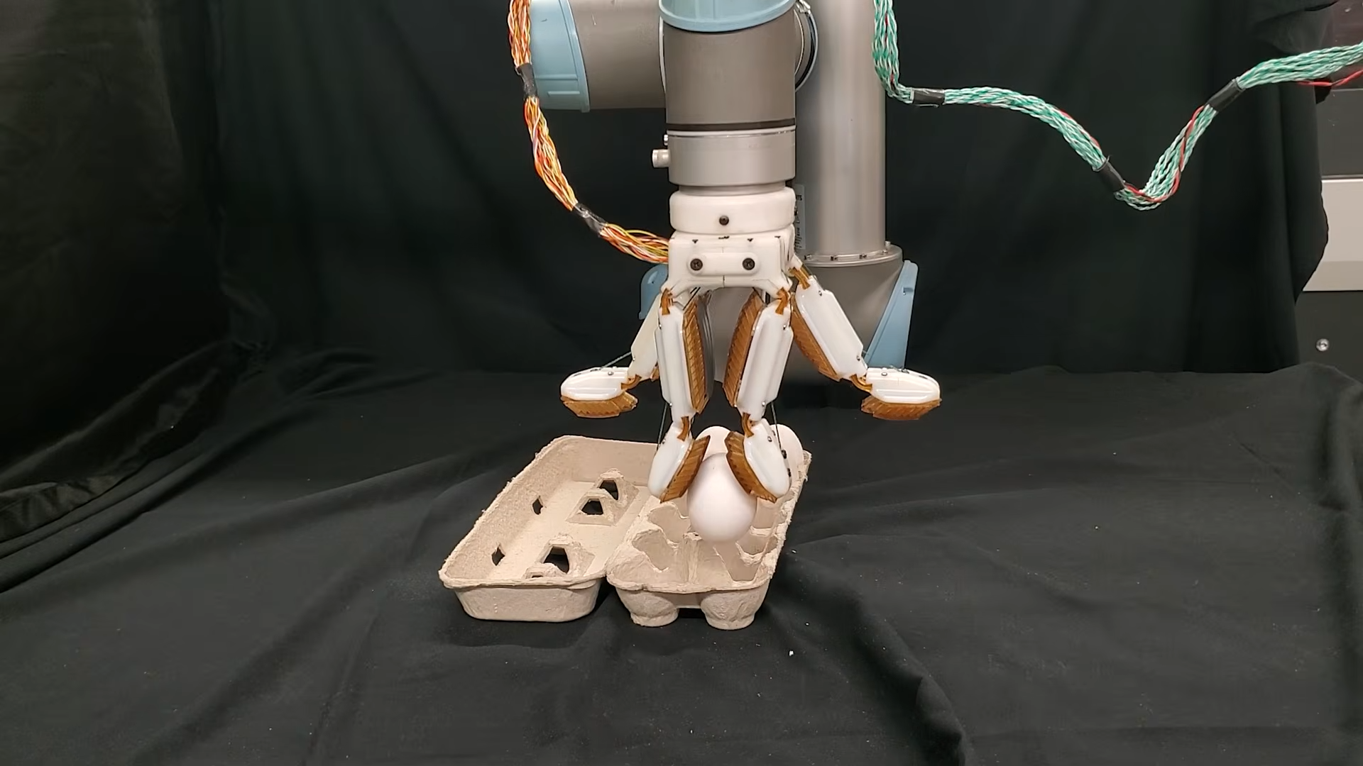 わずか17gのロボットが20kgを引っ張れる理由 - ヤモリの足に隠された力