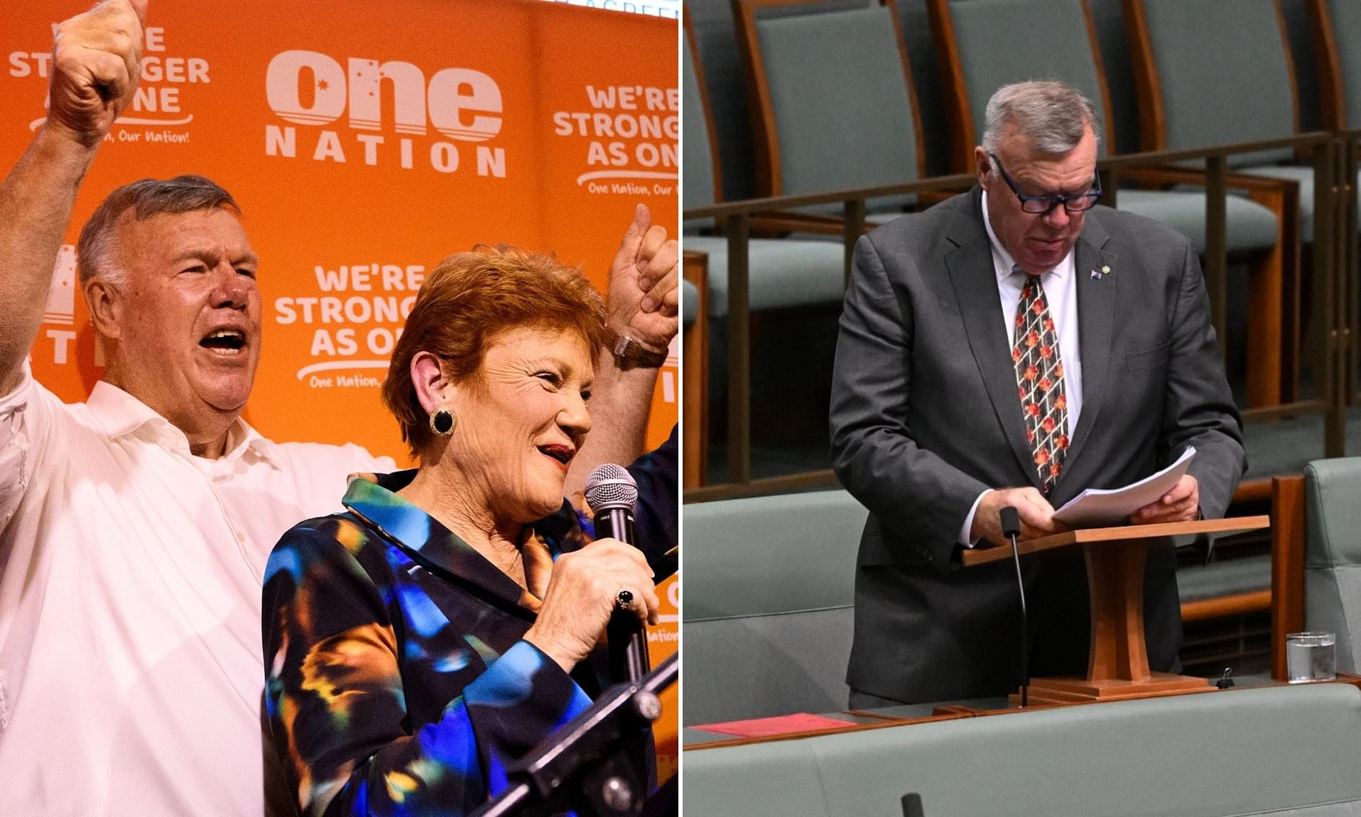 New One Nation MP delivers maiden speech in parliament
