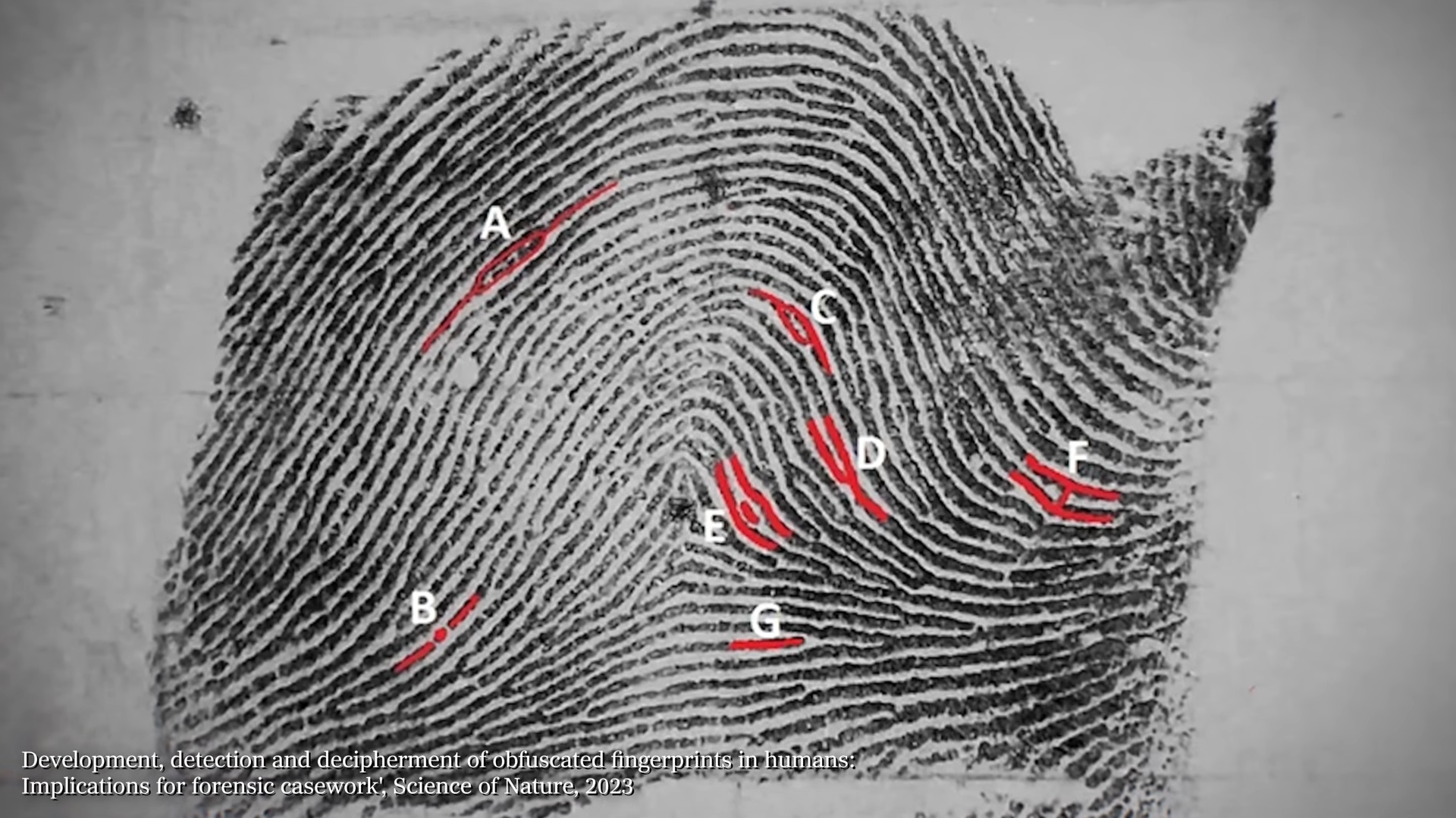 DNA brachte diesen Mann ins Gefängnis - während des Mordes lag er im ...