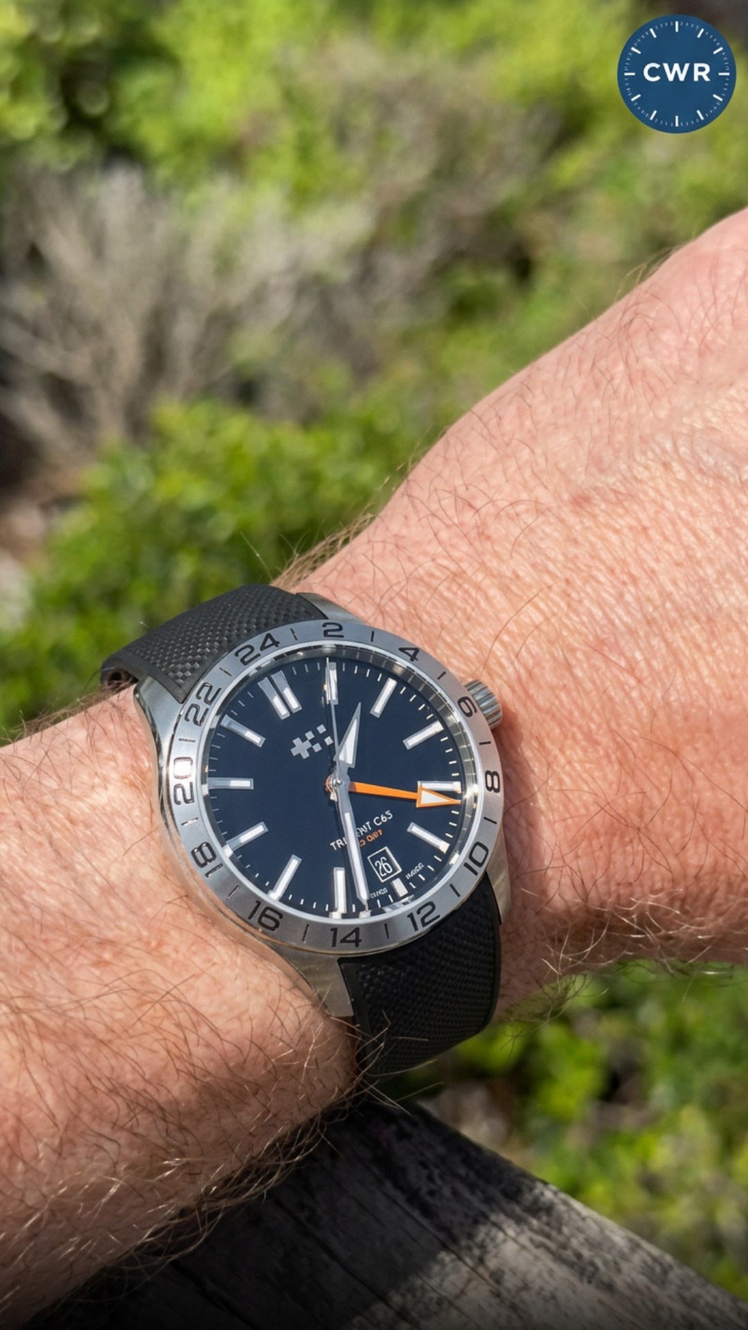 Why the Sealander GMT stands out