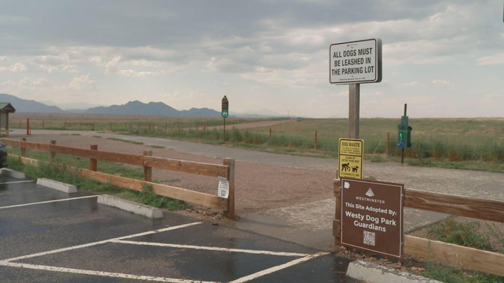 Several dogs bitten by rattlesnakes in Colorado's Westminster Hills Open Space as heat wave continues