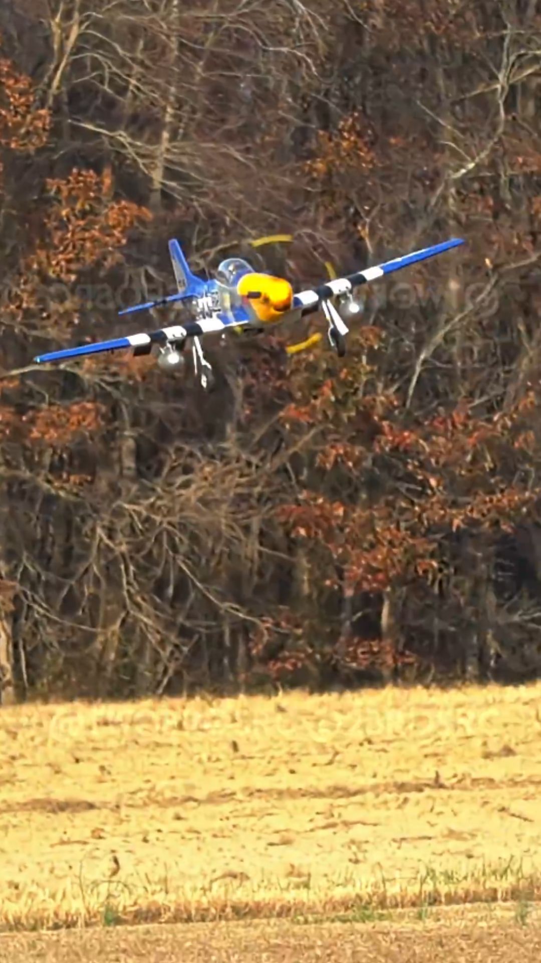 RC P-51D Mustang Landing Realistic Flight and Precision