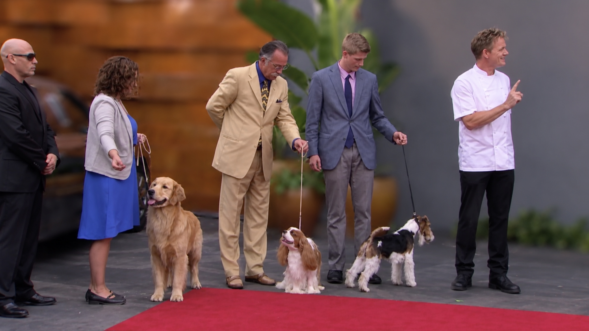 Sade’s dog food dish leaves Gordon Ramsay completely shocked