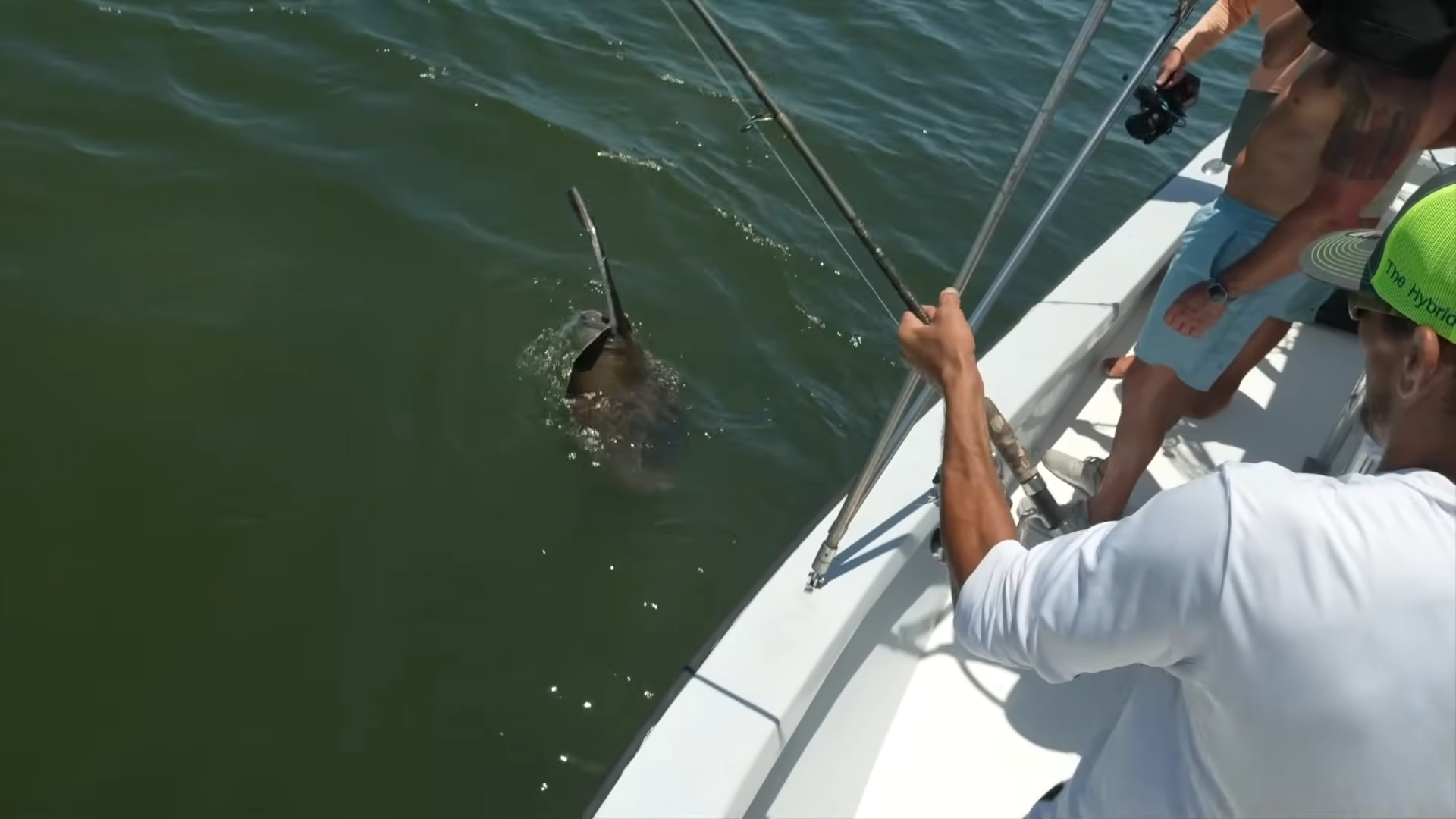 They hooked a giant stingray surrounded by sharks, then its tail became ...