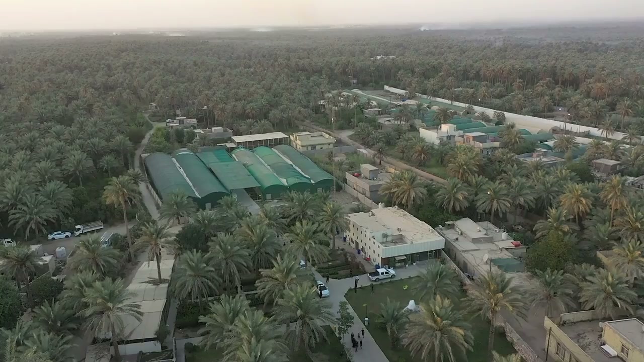 Karbala, Iraq: Drone soars over golden shrines