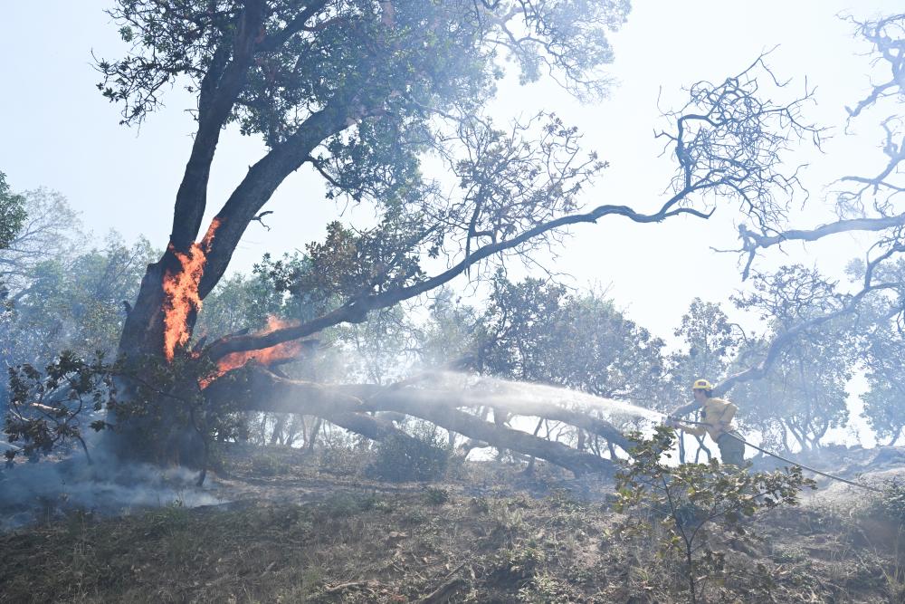 Famed tourist destinations evacuated as wildfire threatens California's Big Sur