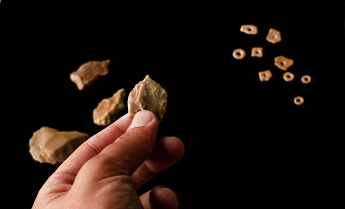 These 112 ancient fragments reveal a 60,000-year-old human code hidden ...