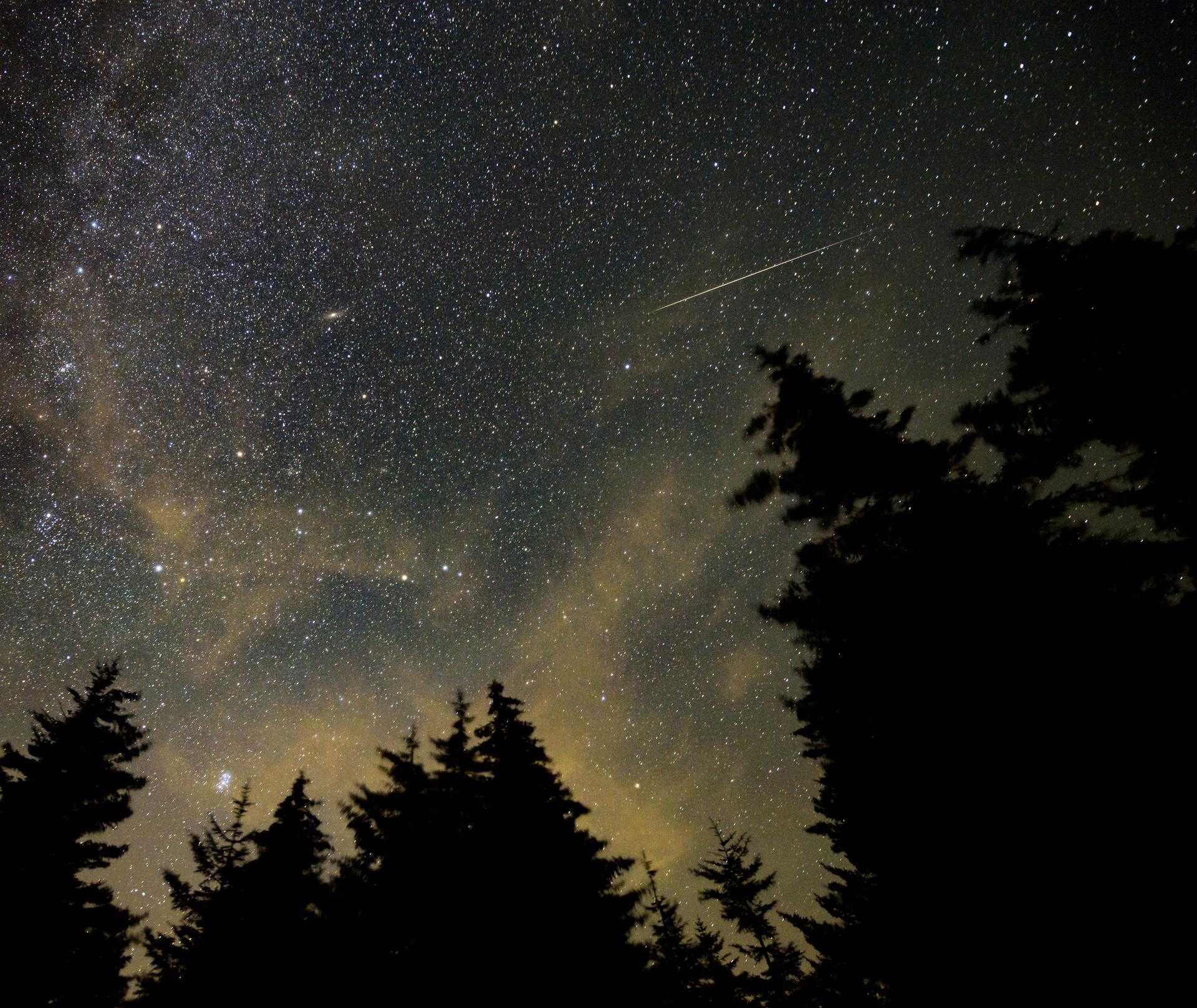 Hundreds of meteors expected to light up the sky during Perseids peak