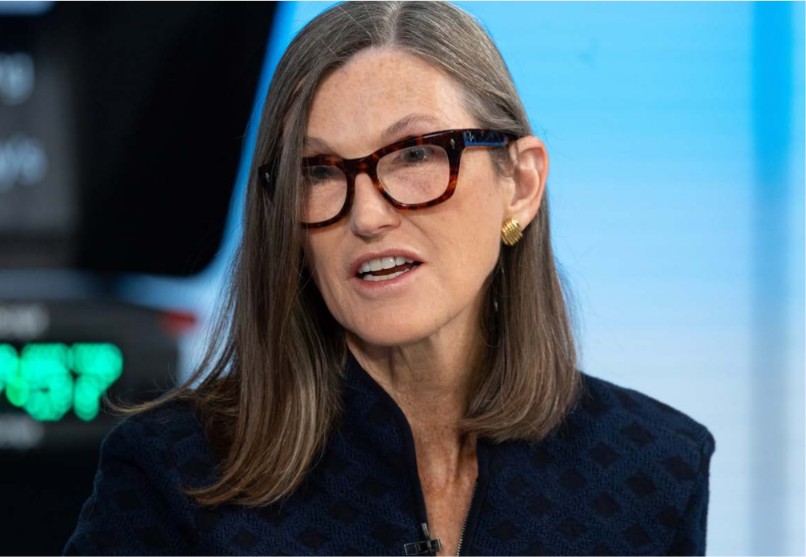 Cathie Wood goes bargain hunting: 3 stocks she just bought