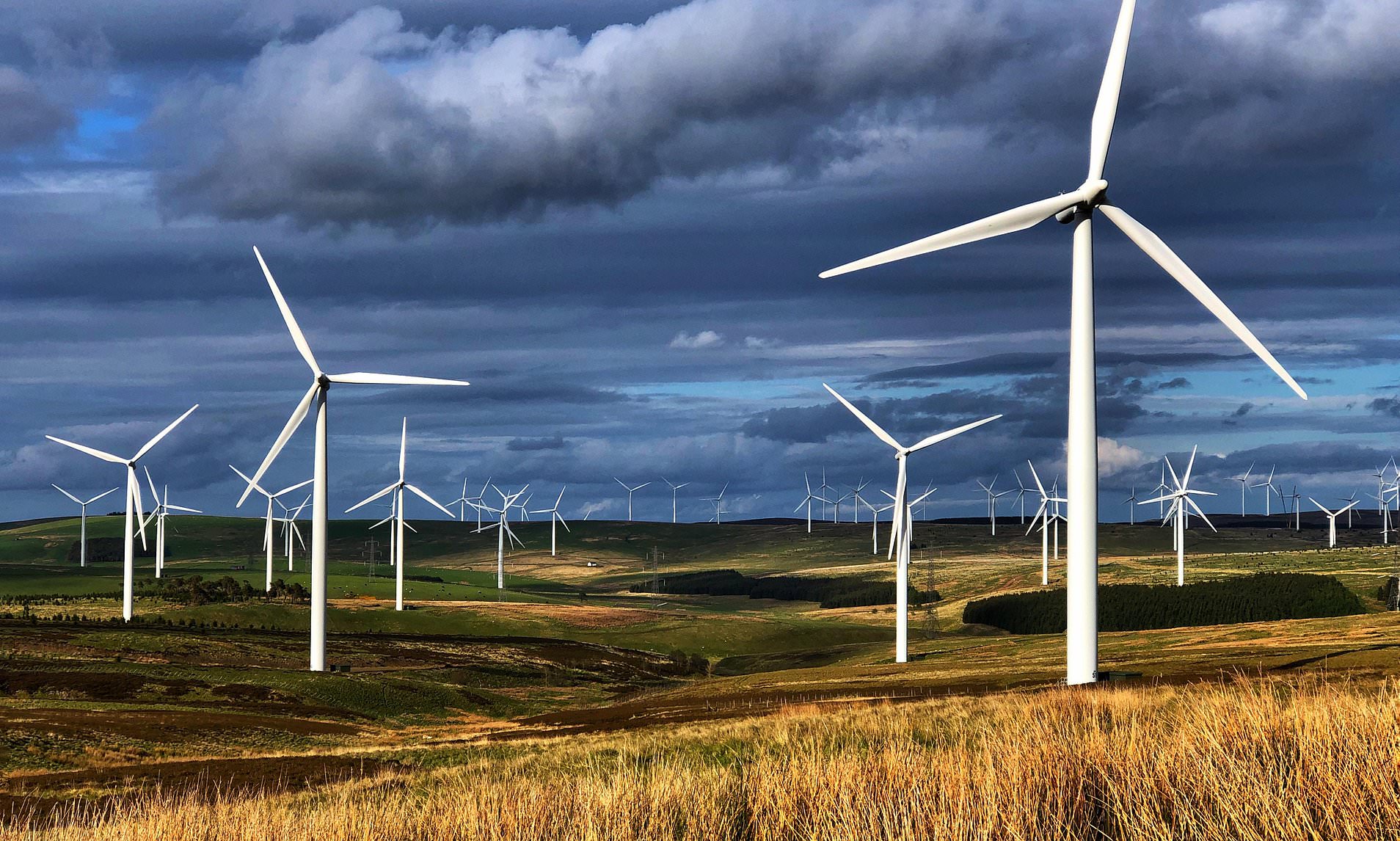 Cost of switching off wind farms hits £1billion this year - with costs passed on to YOU