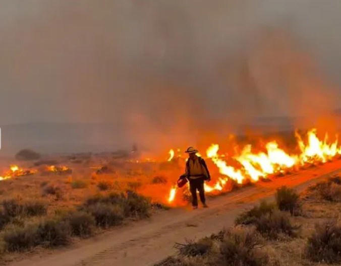 Two massive wildfires converge to rip across California and Nevada as ...