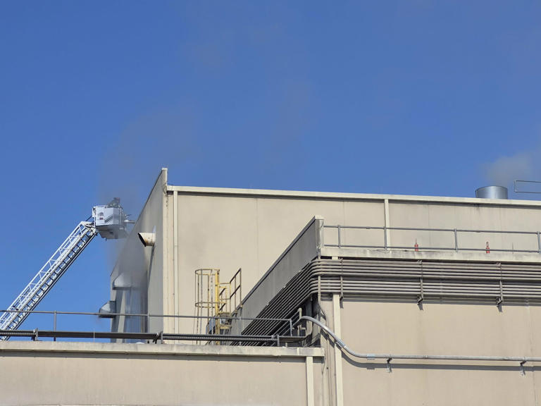 Fire at SEMO Port Authority determined to have started in hopper, duct ...