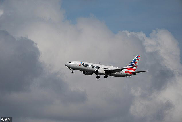 American Airlines said that passengers who are unable to follow safety instructions must travel with a safety assistant