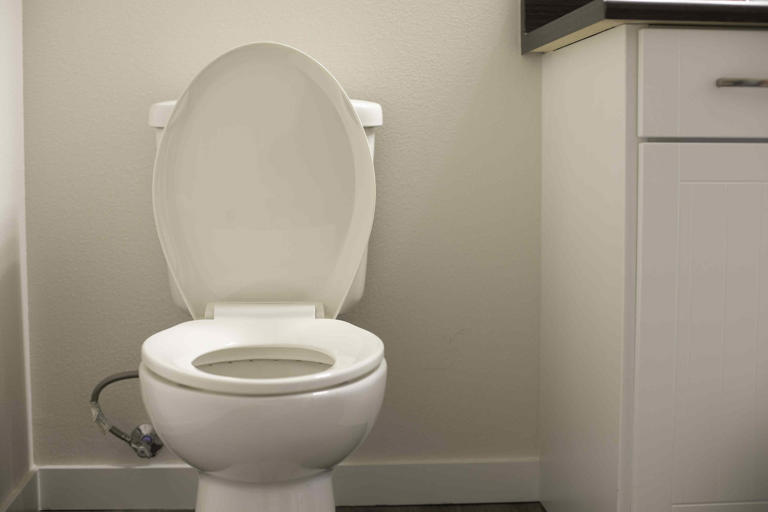 How to fix a running toilet before it wastes water and raises your bill