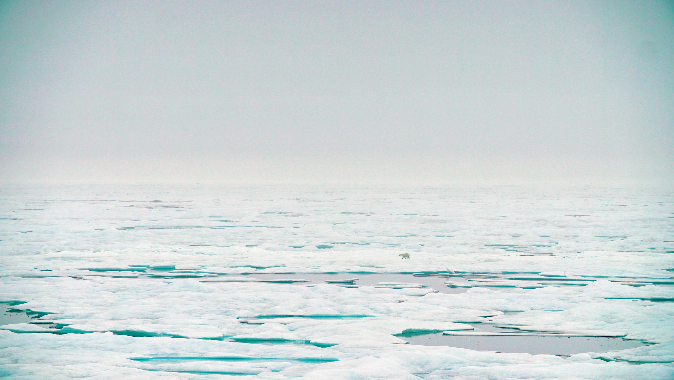 Trump administration will end support for key Arctic climate report