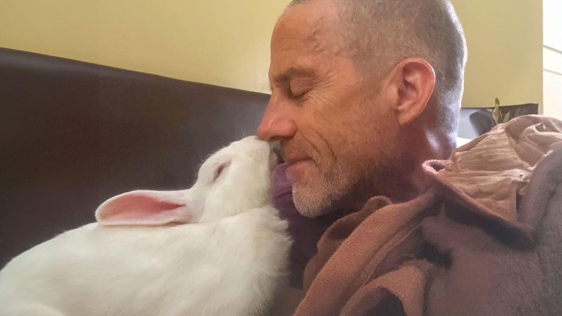 Surfer on vacation brings neglected rabbit to Canada