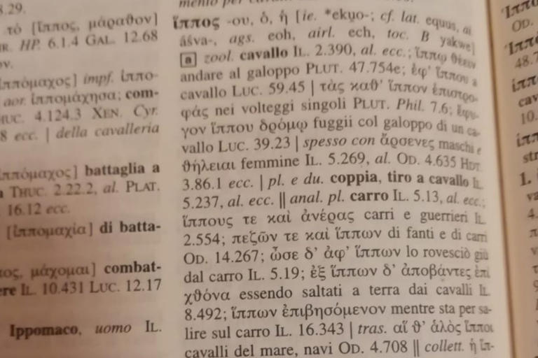 cavallo omero