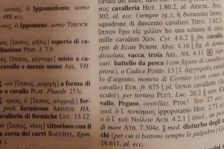 cavallo omero 2